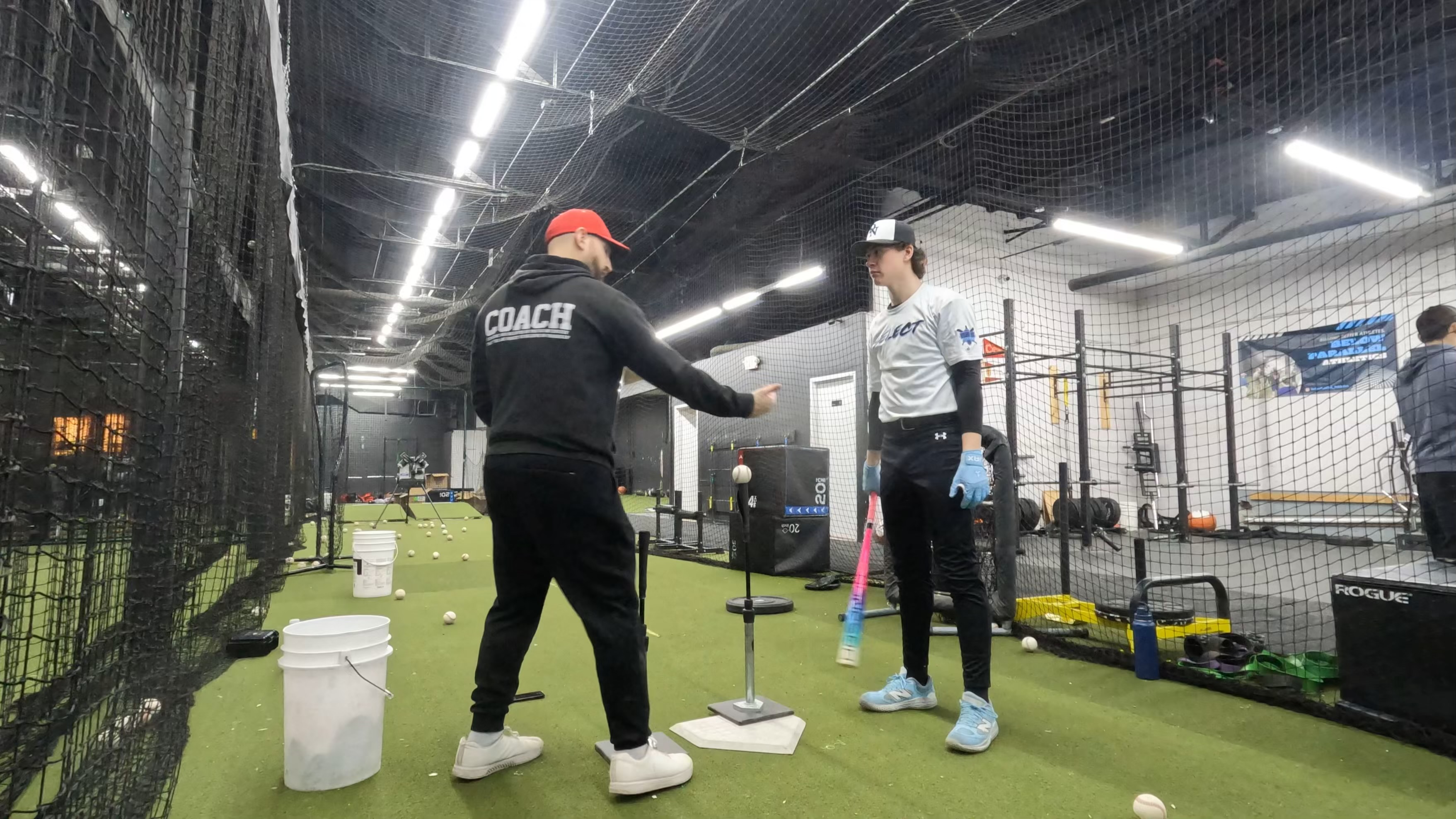 Gunnar training in cage 